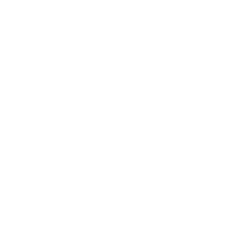 DIXIEME